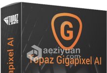 Topaz Gigapixel AI 5.2.3汉化破解版-学课SEO