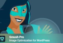 WP Smush Pro v3.7.3 WordPress图片压缩插件-学课SEO