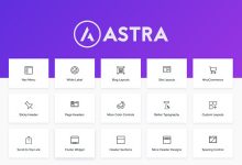astra pro addon v2.7.1-学课SEO