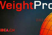 骨骼调整3dsmax插件 KM-3D Weight Pro v2.01 for 3ds Max 2013 - 2021 x64直装版 下载地址-学课SEO