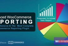 Advanced WooCommerce Reporting v5.8 WooCommerce高级报表系统插件-学课SEO