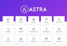 Astra Pro 2.7.2 –使用Pro插件扩展Astra主题-学课SEO