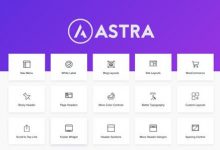 Astra Pro v2.7.3 使用Pro插件扩展Astra主题-学课SEO