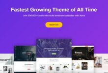Astra Theme 2.6.2 –可自定义的WordPress主题-学课SEO