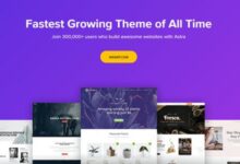Astra Theme v3.0.0 + Astra Pro v3.0.0 (Beta)–使用Pro插件扩展Astra主题-学课SEO