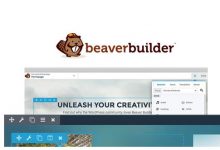 Beaver Builder Pro 2.4.1.3 – WordPress页面构建器插件-学课SEO