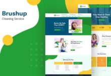 Brushup v1.0 wordpress清洁公司主题模板-学课SEO