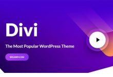 Divi Themes v4.7.7 – 最受欢迎的WordPress主题-学课SEO