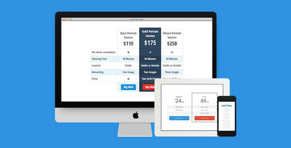 Easy Pricing Tables Premium v2.4.5 WordPress定价表插件