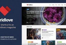 Gridlove v1.9.8 – 新闻门户和杂志WordPress主题-学课SEO