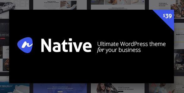 Native v1.6.9.8 – 时尚的多功能创意WordPress主题