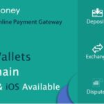 PayMoney v4.0.1 – 安全的在线支付网关-学课技术网