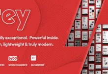 Rey v1.9.5 - WordPress 时尚与服装、家具主题-学课SEO