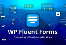 WP Fluent Forms Pro v3.6.62-学课SEO