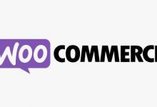 WooCommerce API Manager v2.3.9 API管理插件-学课SEO