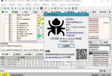 x64dbg和x32dbg零基础从入门到精通视频教程-学课SEO