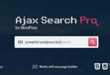 Ajax Search Pro v4.20.3 –实时WordPress搜索和过滤器插件-学课SEO