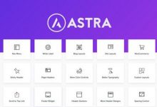 Astra Pro v3.0.0汉化破解版–使用Pro插件扩展Astra主题-学课SEO