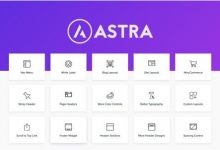 Astra Pro v3.0.1破解版–使用Pro插件扩展Astra主题-学课SEO