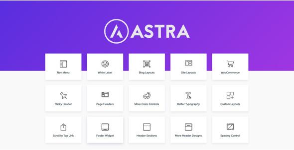 Astra Pro v4.11.8（已汉化）–使用Pro插件扩展Astra主题