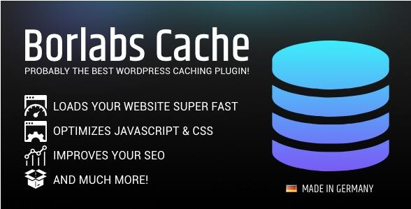 Borlabs Cache v1.6.3 汉化无限制版– WordPress缓存插件