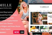 Camille v2.2 – 个人和杂志WordPress主题-学课SEO