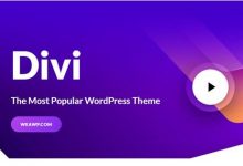 Divi v4.8.0汉化破解版-学课SEO