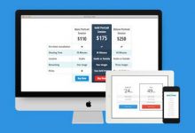 Easy Pricing Tables Premium v2.4.6 - WordPress定价表插件-学课SEO