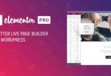 Elementor Pro v3.0.10破解版-学课SEO