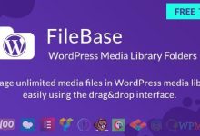 FileBase v1.4.2中文破解版 – WordPress媒体库文件夹-学课SEO