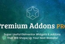 Premium Addons Pro v2.2.5汉化破解版– Elementor插件-学课SEO