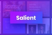 Salient v12.1.6 – 响应式多用途WordPress主题-学课SEO