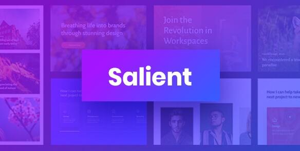Salient v17.3.1 – WordPress响应式多用途主题