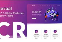 Seoaal v1.0.5 – WordPress SEO和数字营销主题-学课SEO