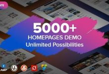 Soledad v7.7.0破解版–多概念博客杂志AMP WordPress主题-学课SEO