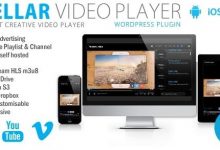 Stellar Video Player v2.3破解版-学课SEO