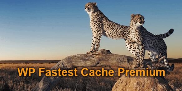 WP Fastest Cache Premium v1.7.4无限制版（已汉化） – WordPress缓存插件