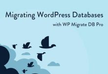 WP Migrate DB Pro v1.9.13汉化破解版 – WordPress数据库迁移插件-学课SEO