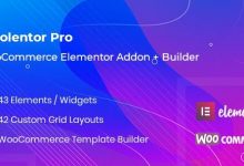 WooLentor Pro v1.5.8破解版– WooCommerce页面生成器Elementor插件-学课SEO