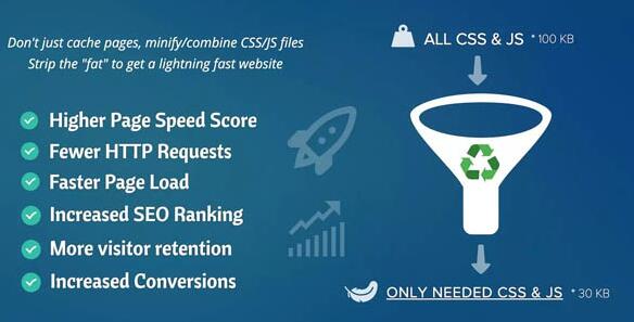 Asset CleanUp Pro v1.2.7.0无限制版（已汉化）-WordPress性能插件
