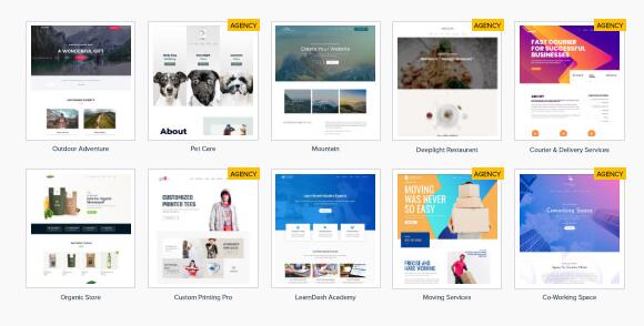 Astra Premium Sites v4.4.35无限制版（已汉化） – Astra在线模版库导入插件