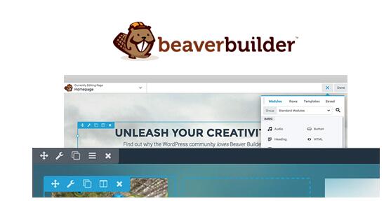 Beaver Builder Professional v2.8.5无限制版（已汉化） – 页面构建器插件
