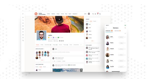 BuddyBoss Platform v2.8.90 + Pro v2.7.70 + Theme v2.9.11无限制版（已汉化85%）