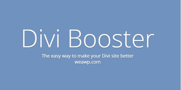 Divi Booster v4.8.6（已汉化） – WordPress Divi主题插件