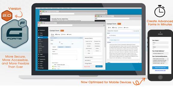 Gravity Forms v2.9.15.2 全功能版（已汉化） – WordPress表单插件