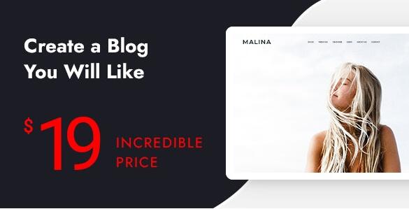 Malina v2.4.1 –个人WordPress博客主题