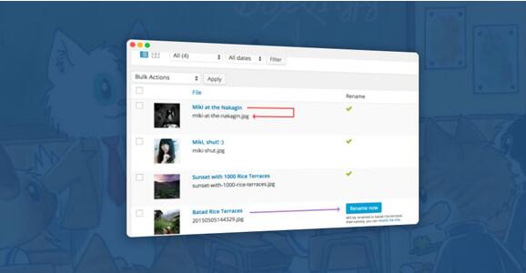 Media File Renamer Pro v6.1.4 无限制版（已汉化）
