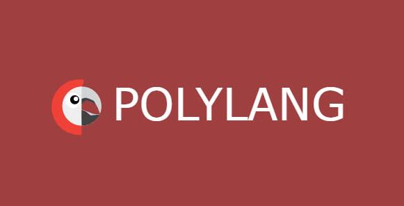 Polylang Pro v3.7.4（已汉化） – WordPress翻译插件