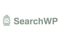 SearchWP v4.1.13破解版(已汉化) + Addons – WordPress搜索插件-学课SEO