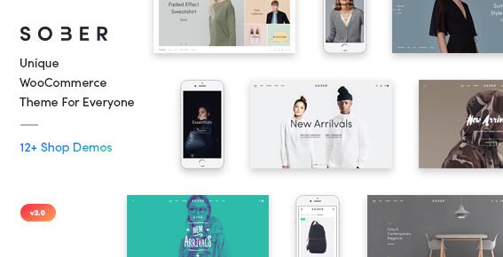 Sober v3.5.4 无限制版（已汉化）- WordPress电子商务主题